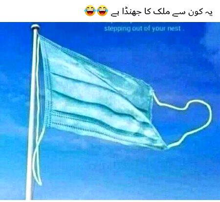 Memes & Satire image