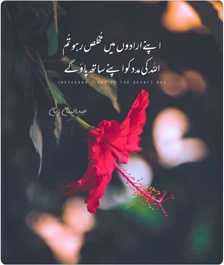 Islamic Quotes image