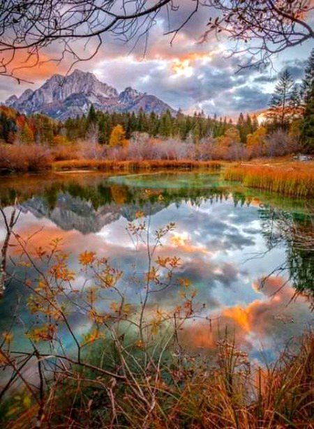 Beautiful Nature image