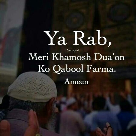 Ameen .suma ameen