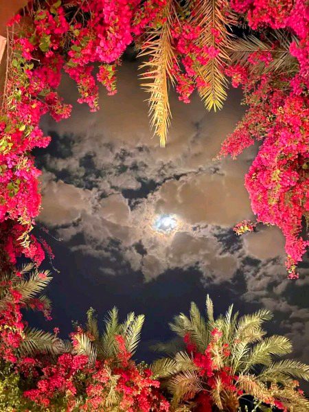 Beautiful Nature image