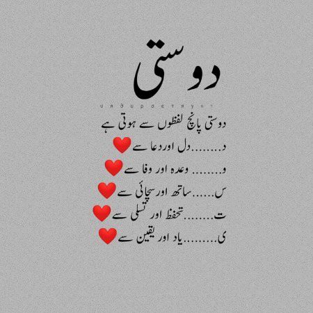 ✨✨💫💫✨✨