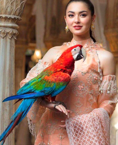 Pakistani Celebs