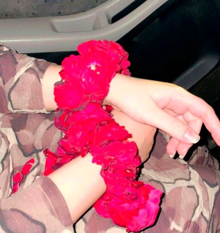 Beautiful Nature image