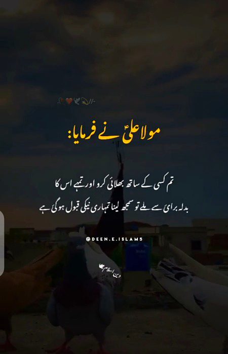 Islamic Quotes image