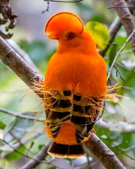 Beautiful Nature image