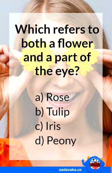 Knowledge Test image