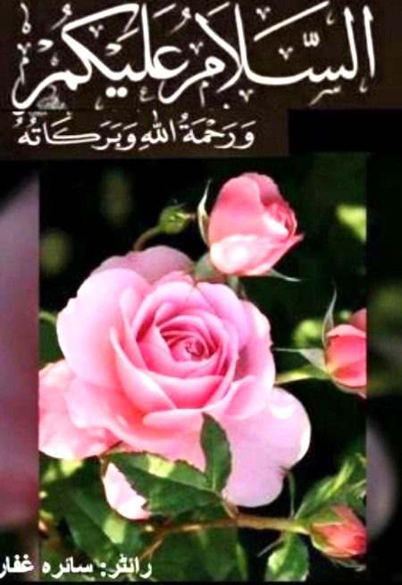 Islamic Quotes image