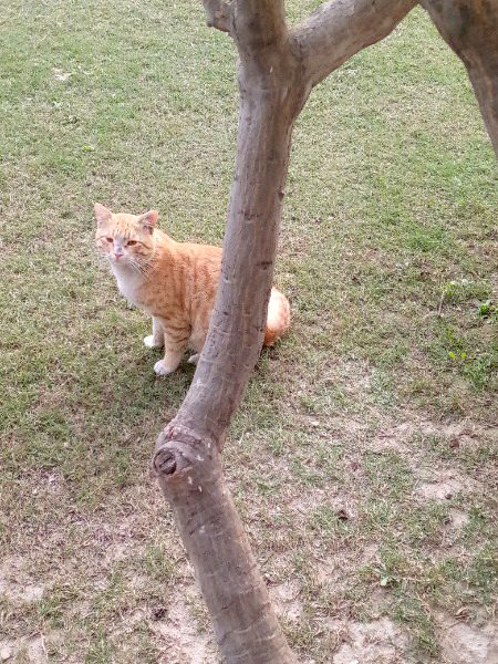 Meow ^_^
