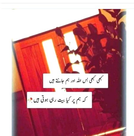 Islamic Quotes image