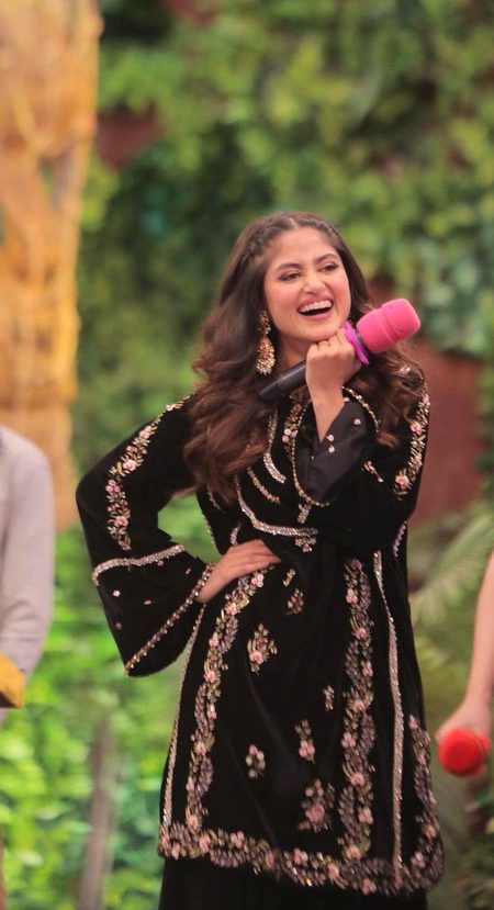 Pakistani Celebs image