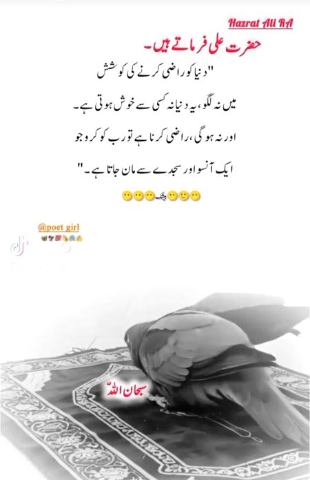 Asllam o Alikum