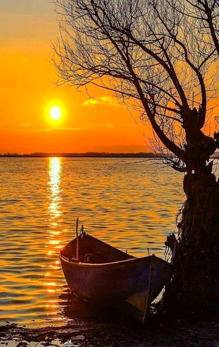 Beautiful Nature image