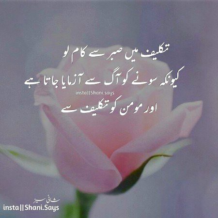 Motivational Quotes image