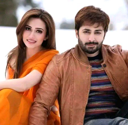 Pakistani Celebs image