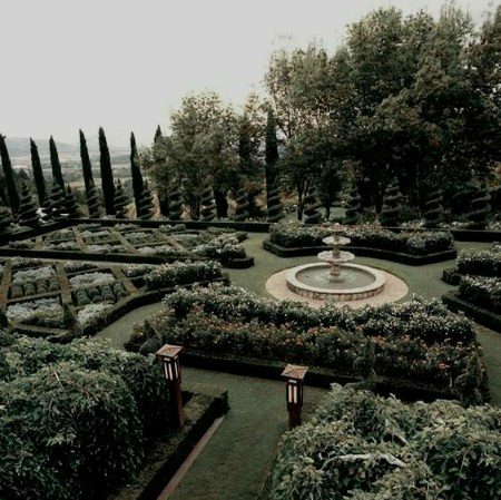 Beautiful Nature image