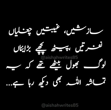 ❤💚💜❤💚💜❤💚💜