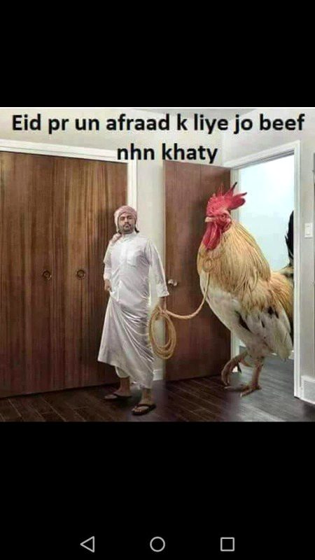 Memes & Satire image