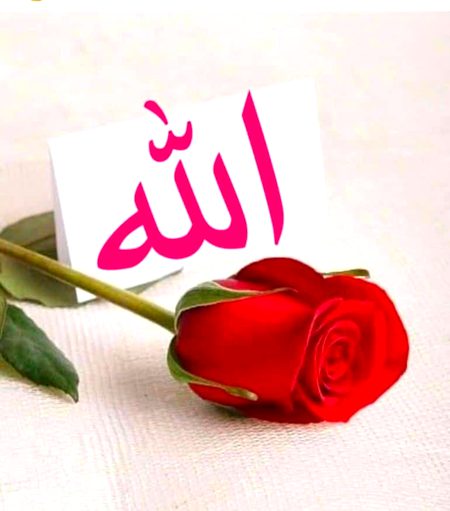 Allah♡♡