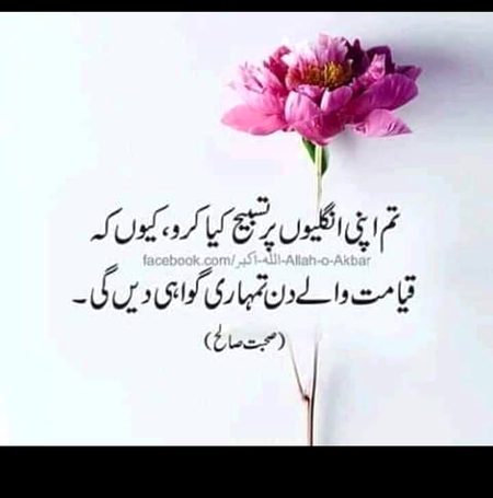 Islamic Quotes image