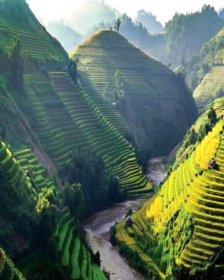 Beautiful Nature image