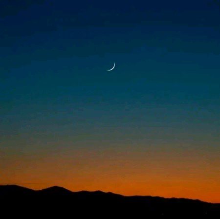 Beautiful Nature image