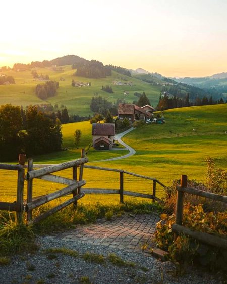 Beautiful Nature image