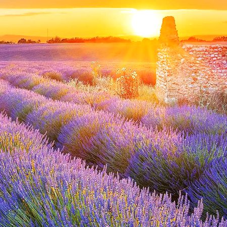 Baeutyful  Place  ❤