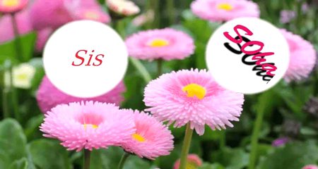 " انسان جب رو نا سکے تو وہ لکھتا ہے 🖤🥀
 I Miss My sis