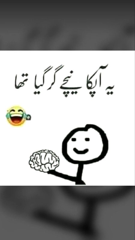 Memes & Satire image