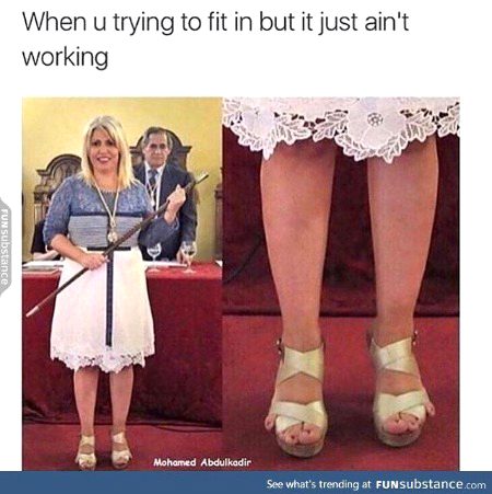 Memes & Satire image