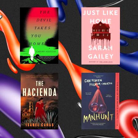 Suspense Novels image