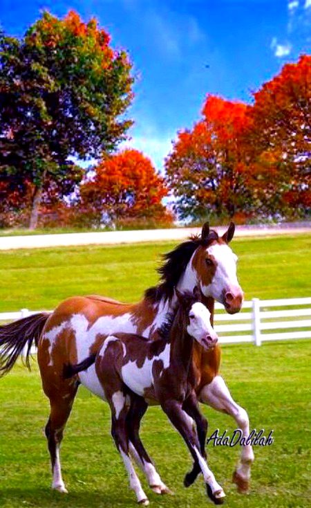 Beautiful Nature image