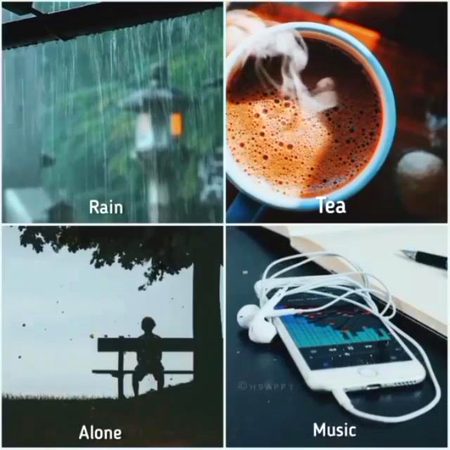Which is your love