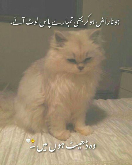 Saanaam blkl asa hu❣️❣️