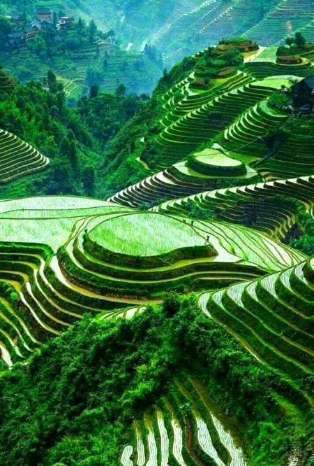 Beautiful Nature image