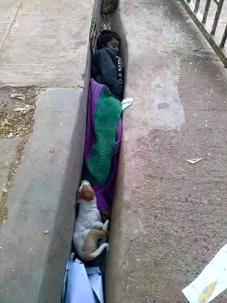 غربت لڑتی رہی  ٹھنڈی ہواؤں سے
  امیروں نے کہا واہ کیا موسم آیا ہے۔۔💔🥺