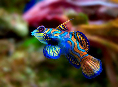 Beautiful Nature image