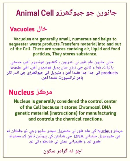Tips for Students image