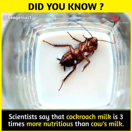 Interesting Posts image