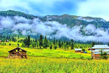 Beautiful Nature image