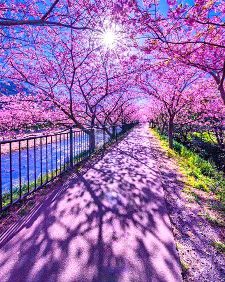 Beautiful Nature image