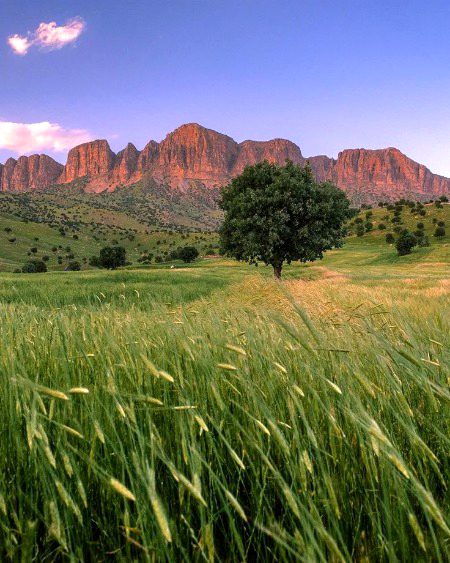 Beauti Of Lorstan lRAN!🦋🌾💚🍃
