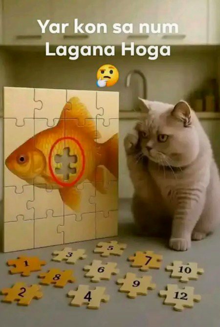 Riddles & Puzzles image