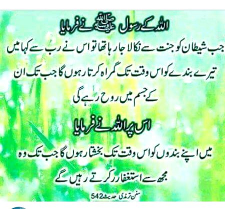 Islamic Quotes image