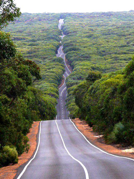 Beautiful Nature image
