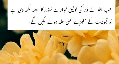 Islamic Quotes image