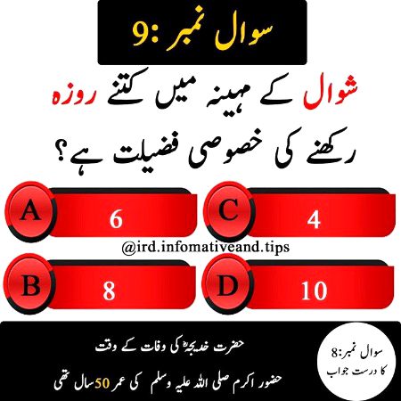 Knowledge Test image