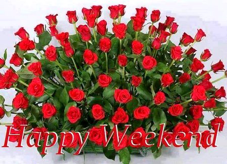 Have a nice day ❤❤