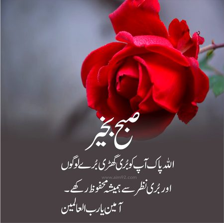 *✿ﺍﻟﺴَّــﻼَﻡُ ﻋَﻠَﻴـْـﻜُﻢ ﻭَﺭَﺣْﻤَﺔُ ﺍﻟﻠﻪِ ﻭَﺑَﺮَﻛـَـﺎﺗُﻪ✿*
*اللہ پاک آپ سب کو خوش رکھے آمین*
❂▬▬▬๑۩۞۩๑▬▬❂